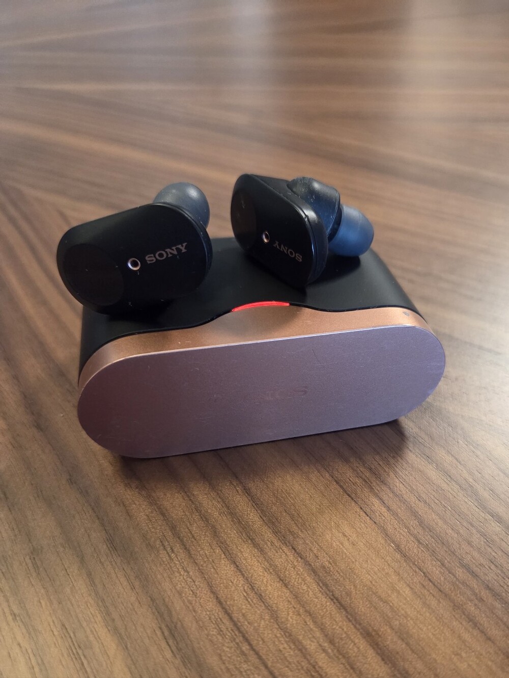 Sony WF-1000XM3 wireless noise-canceling earbuds inside their charging case